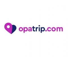 Sales manager
